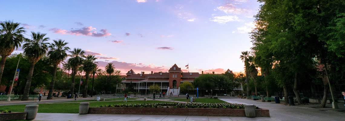 About the College